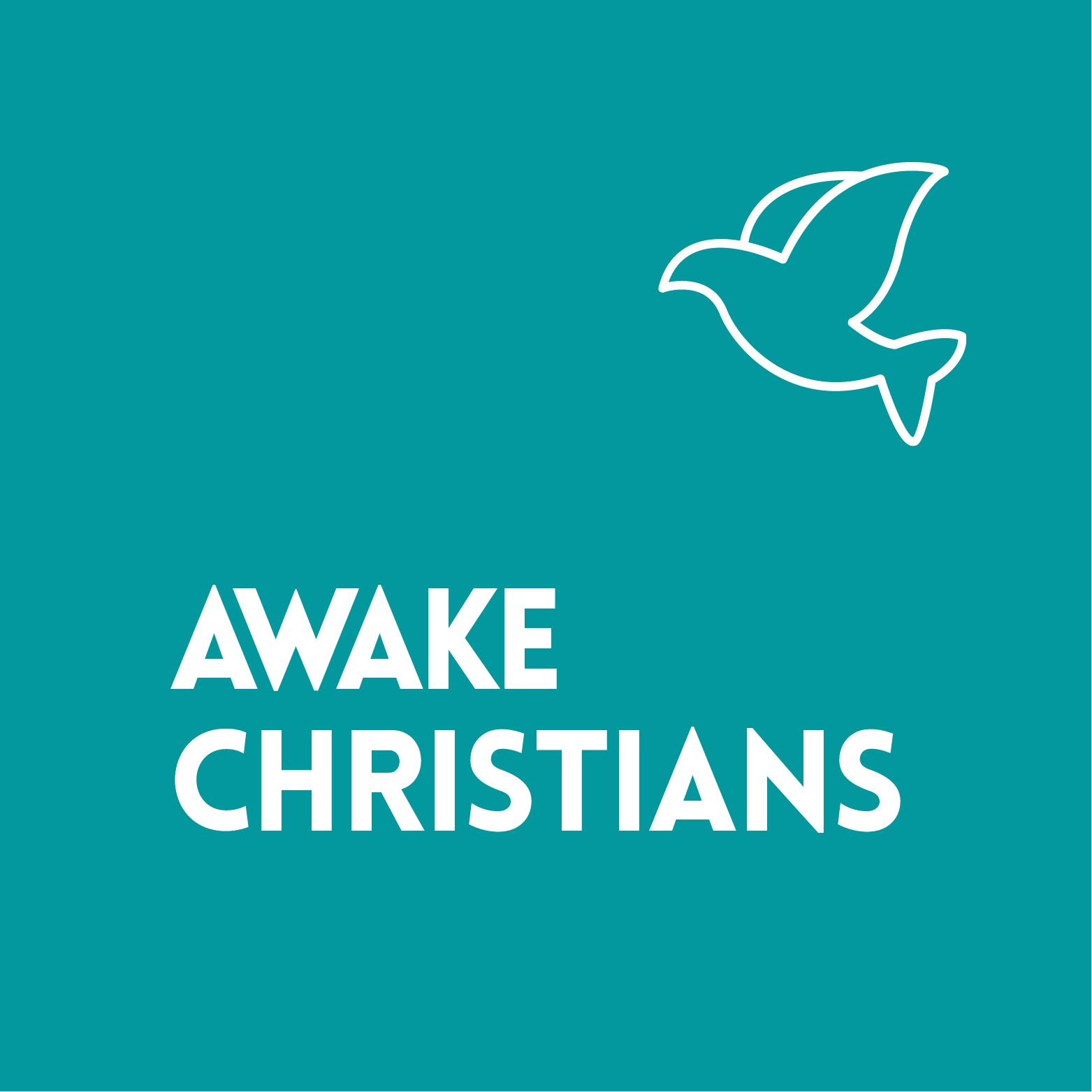 AWAKE CHRISTIANS